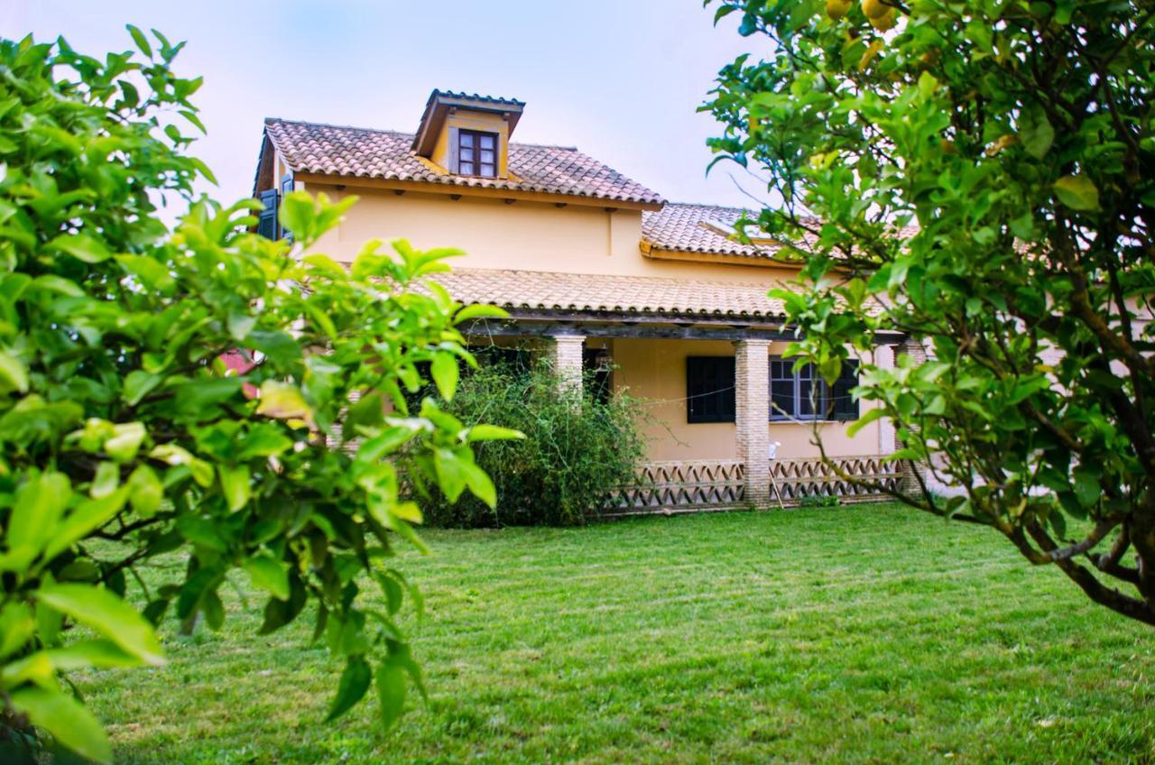 Affittacamere Jasmine House Tsilivi  Esterno foto